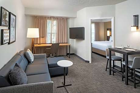Suite, 1 Bedroom (1 King Bed and 1 Double Sofa Bed)