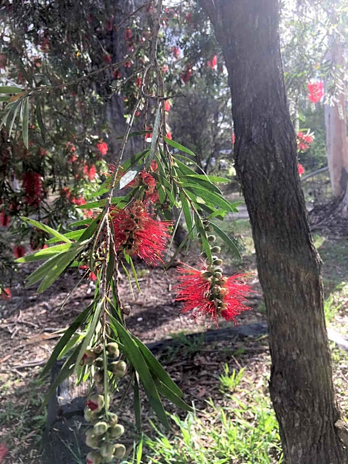 Hunter Valley Retreat