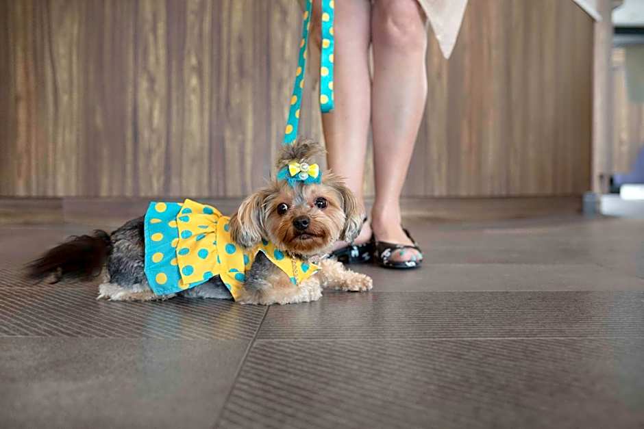 Tru by Hilton Toronto Airport West