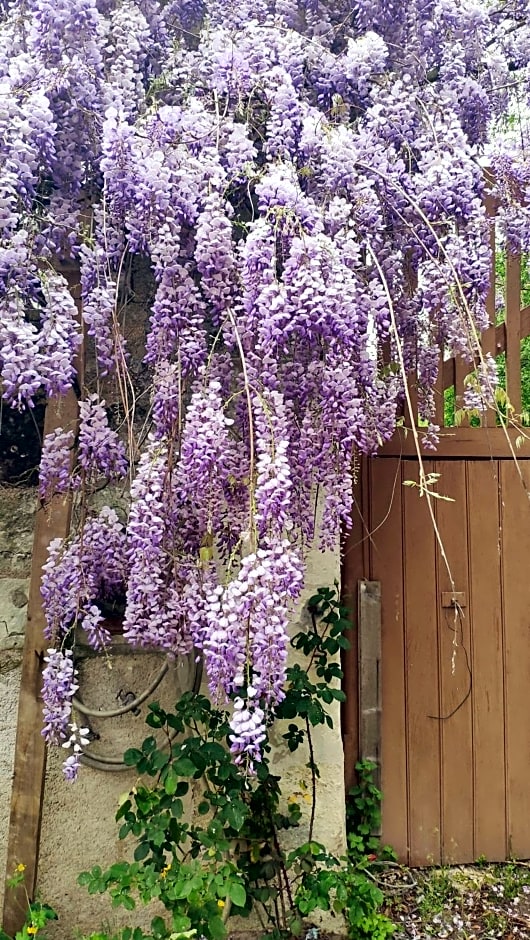 Bed & Breakfast - La closerie de la Fuye