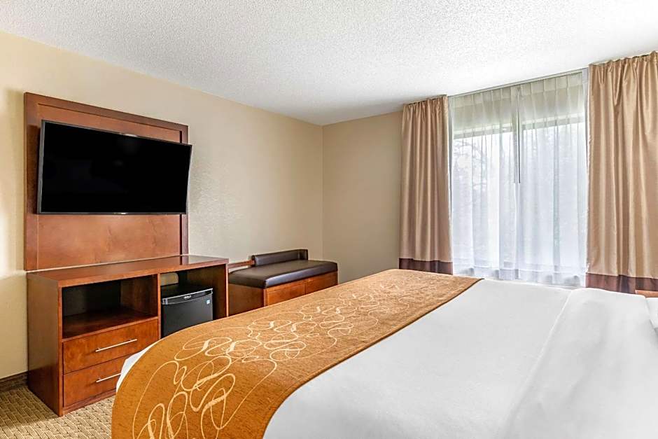 Comfort Suites Grand Rapids North