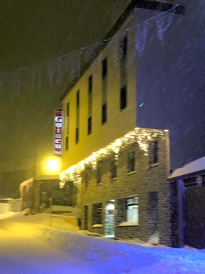 Hotel Guineu