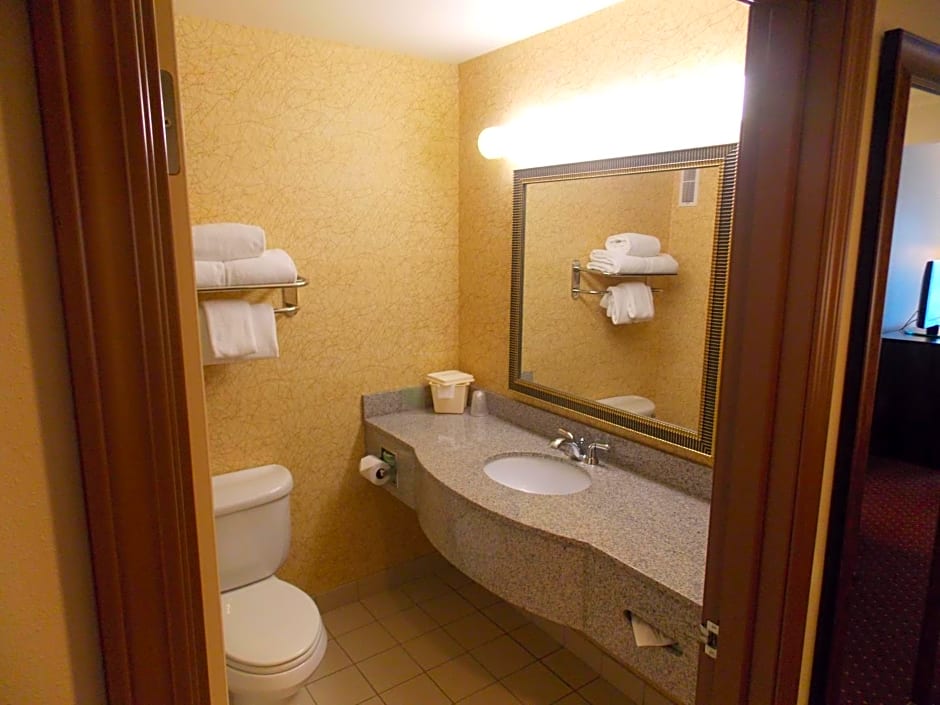 Holiday Inn Express Syracuse-Fairgrounds