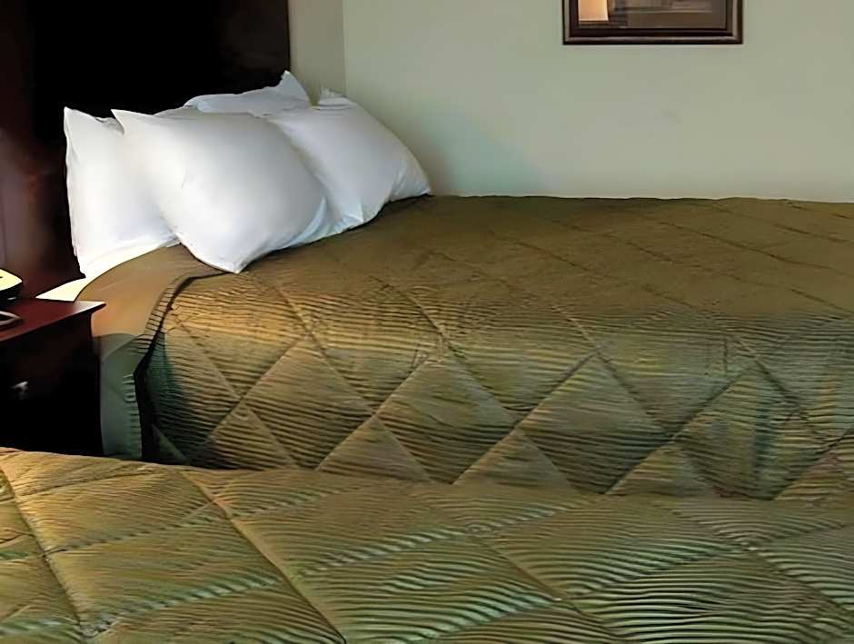 Cobblestone Inn & Suites - Durand