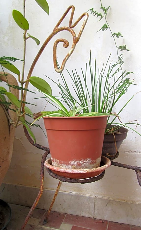 Bed & Breakfast Alice