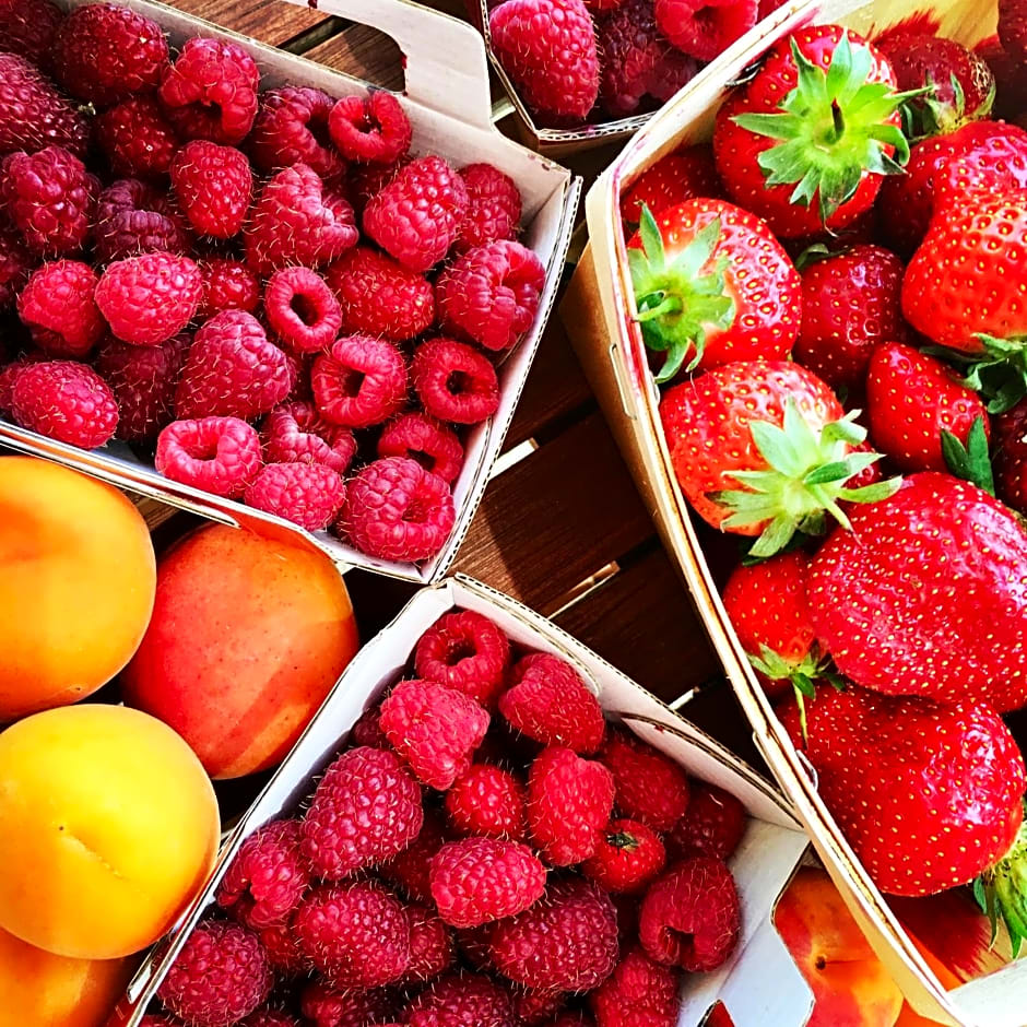 Le Jas du Mont Ventoux