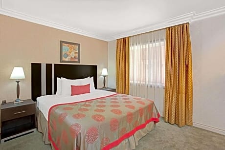1 King Bed No-Smoking Room
