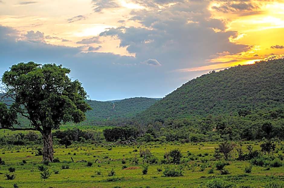 Laluka Safari Lodge - Welgevonden Game Reserve