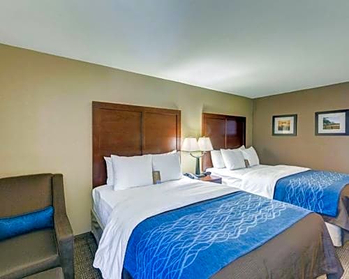 Comfort Inn & Suites Plano East
