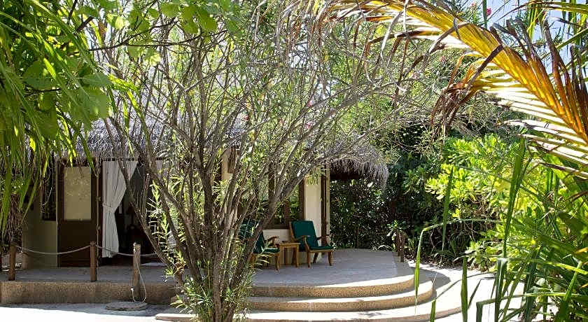 Coco Palm Dhuni Kolhu