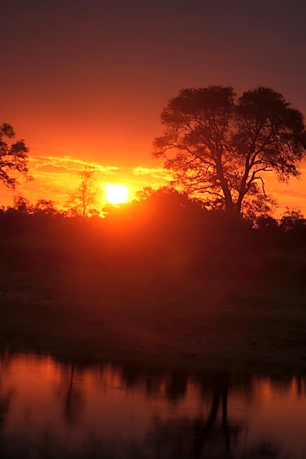 Rhino Post Safari Lodge