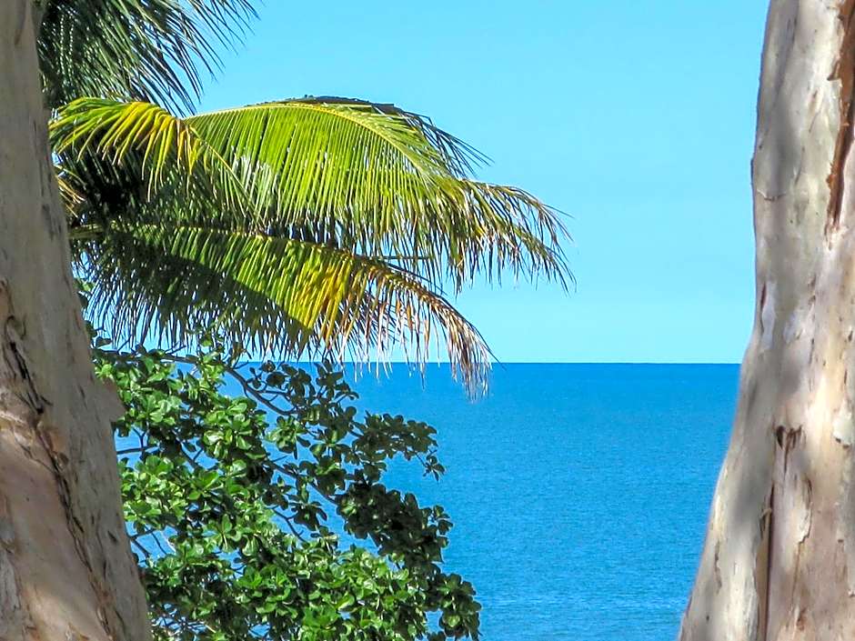 Marlin Waters Beachfront Apartments