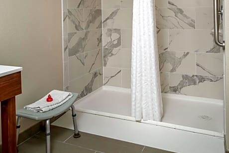 Double Suite with Two Double Beds - Accessible/Non-Smoking
