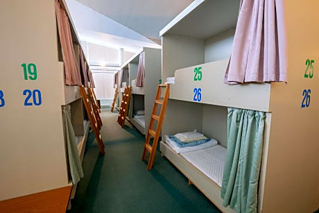 Bunk Bed in Mixed Dormitory Room