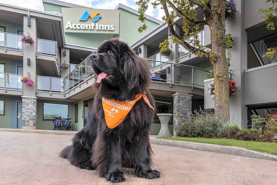 Accent Inn Vancouver Airport