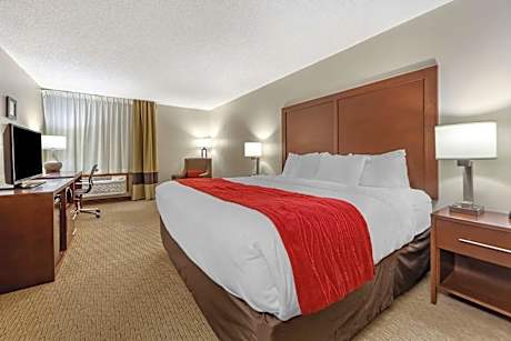 1 King Bed, Suite, Nonsmoking