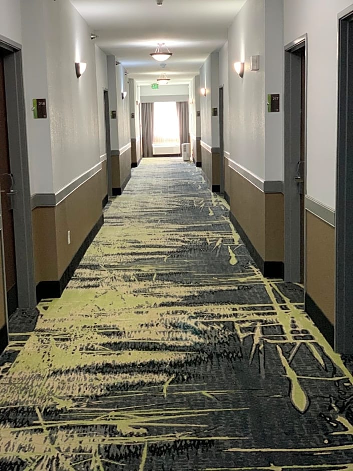 Best Western Plus Olive Branch Hotel & Suites