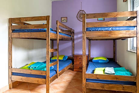 Bed in 4-Bed Mixed Dormitory Room