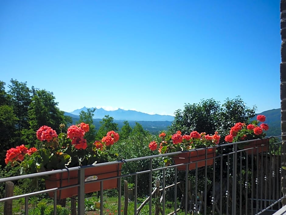 Il Poggio di Traverde