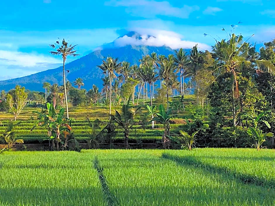 Sawah Ijen