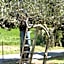 Bed&Breakfast Il Frantoio