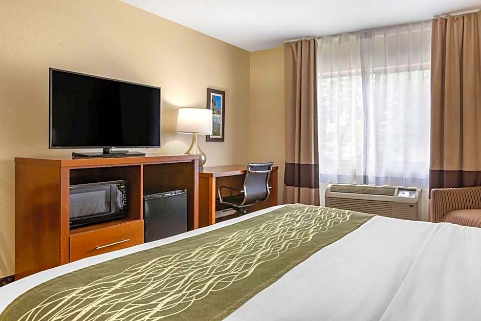 Comfort Inn Okemos