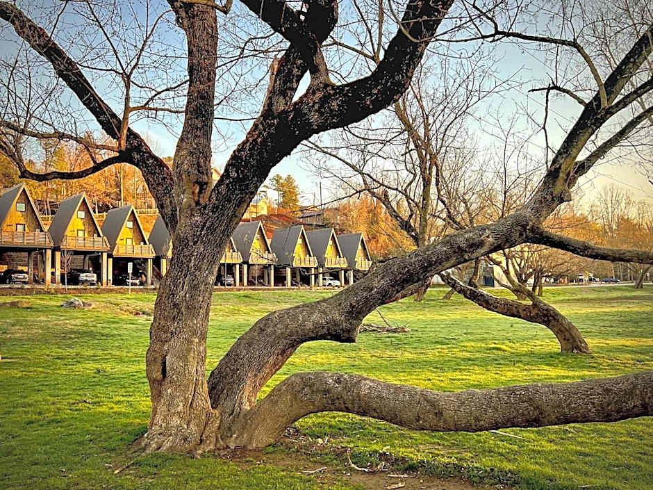 Wrong Way River Lodge & Cabins