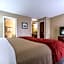 Comfort Inn & Suites Lexington