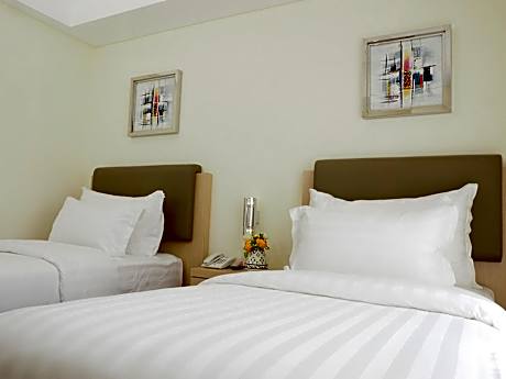 Superior Twin Room with No Window