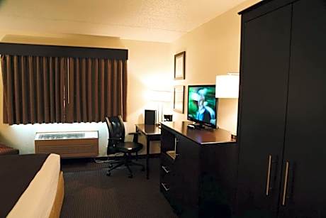 One-Bedroom Deluxe King Suite - Non-Smoking
