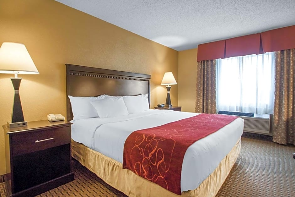 Comfort Suites Wisconsin Dells Area