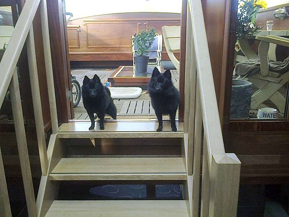 BlackPearl Boat&Breakfast