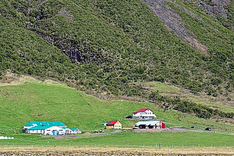 Studio with Mountain View