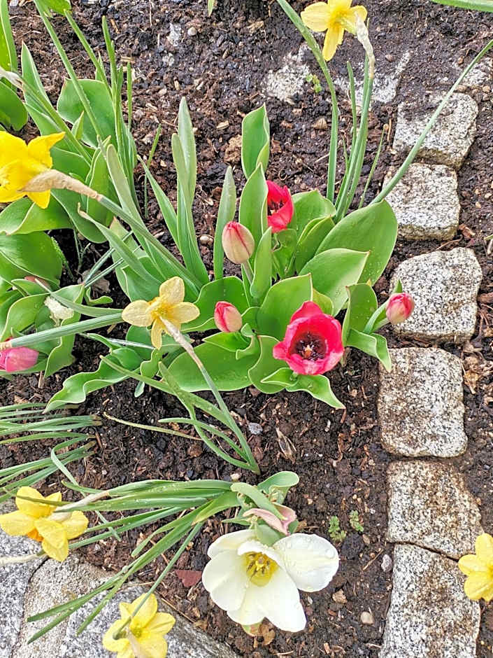 Gästehaus Watschinger