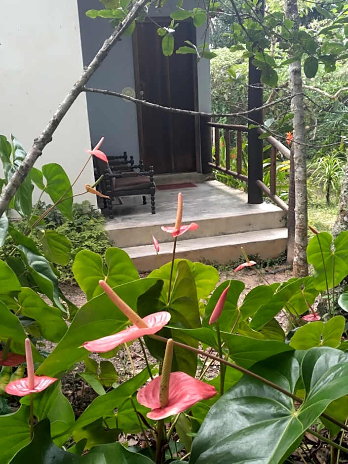 Pousada Do Pequi
