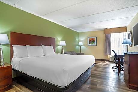 King Room - Non-Smoking