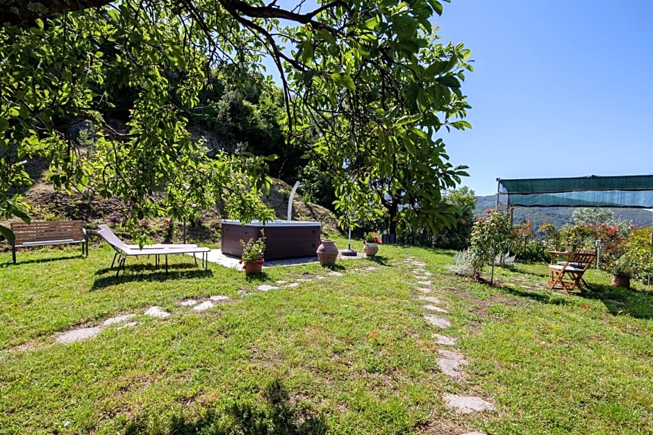 Pietrantica - Affittacamere con giardino NUOVA APERTURA a Trebiano -CITR