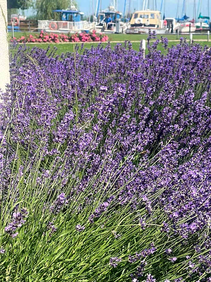 Akvárium Apartmanházak