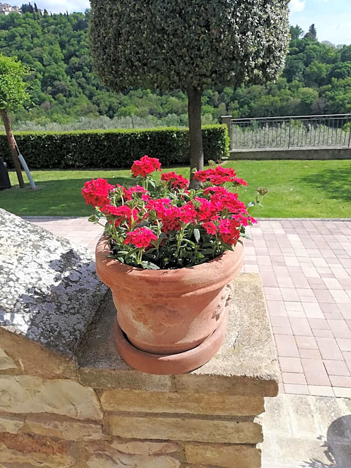 La Casa Tra Gli Ulivi