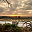 Foxy Crocodile Bush Lodge & Kruger Safaris