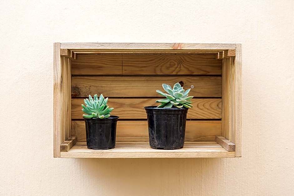 Umthunzi Hotel and Conference