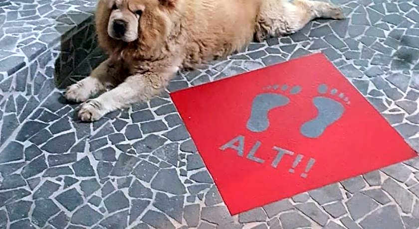 B&B Cappotto civico 48