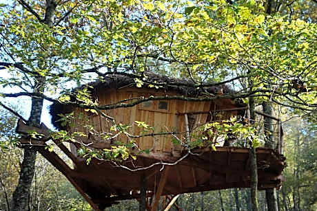 Family Room with Terrace