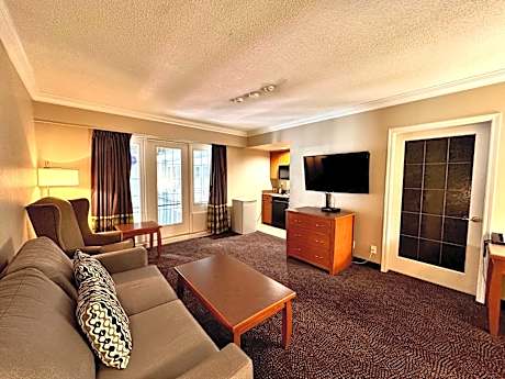 Efficiency One-Bedroom King Suite