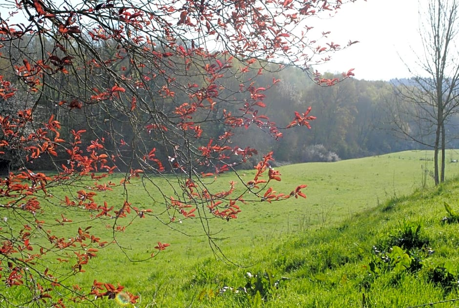 Chambres d'hôtes La Tribu