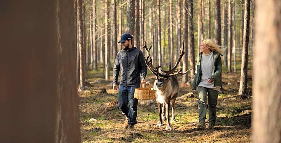 Lapland Hotels Hetta