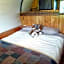 Wacky Stays - unique farm-stay glamping rentals, FREE animal feeding tours