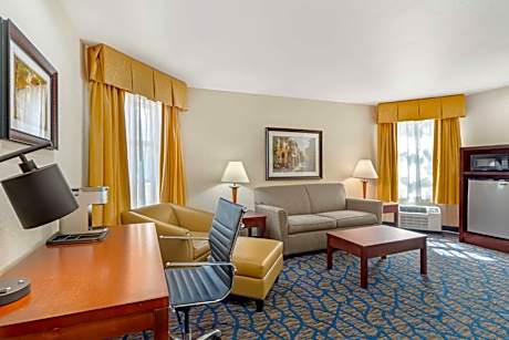 One-Bedroom King Suite with Sofa Bed - Non-Smoking