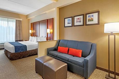 King Suite - Disability Access/Non-Smoking