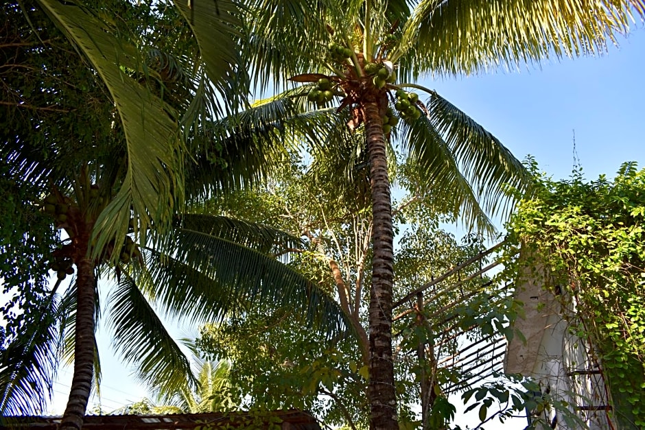 Lobo Inn Tulum